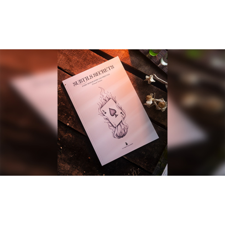 Subtle Secrets 1 by Thibault Ternon