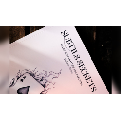 Subtle Secrets 1 by Thibault Ternon