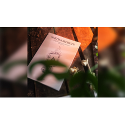 Subtle Secrets 1 by Thibault Ternon