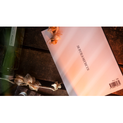Subtle Secrets 1 by Thibault Ternon
