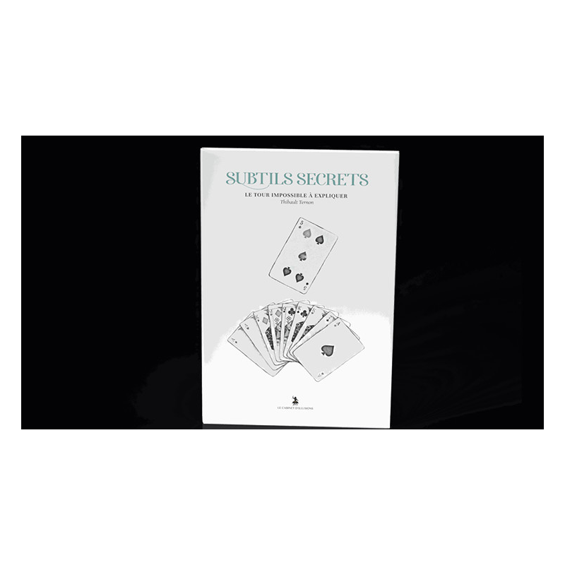 Subtle Secrets 2 by Thibault Ternon