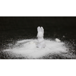 SUGAR BUNNY by Steve Fearson