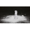 SUGAR BUNNY by Steve Fearson