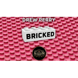 Bricked by Drew Perry