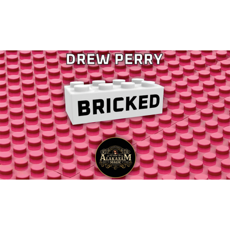 Bricked by Drew Perry