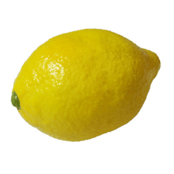 Super Real Latex Lemon - Trick