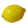 Super Real Latex Lemon - Trick