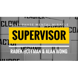 Supervisor by Radek Hoffman