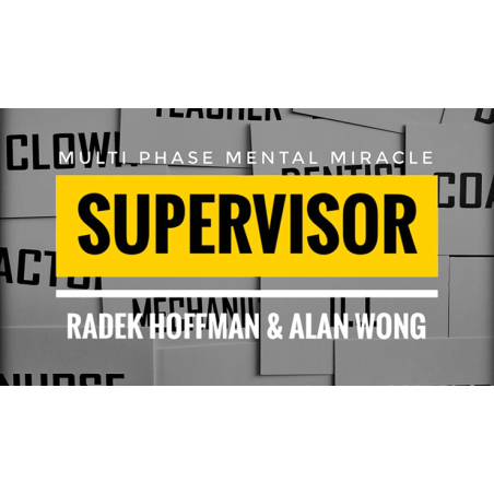 Supervisor by Radek Hoffman