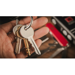 Swiss Key by Nicholas Lawrence and Hanson Chien