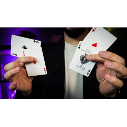 Switch-A-Two (Gimmicks and Online Instructions) by Mark Mason - Trick