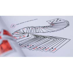 Symmetry, Parity and the Chimera Deck (plus three gimmicked decks and Prop) by Ben Harris - Book