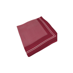 Syouma Silk (Red) by Tejinaya Magic - Trick
