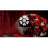 The Bouquet (Red) by Bond Lee and MS Magic- Trick
