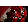 The Bouquet (Red) by Bond Lee and MS Magic- Trick