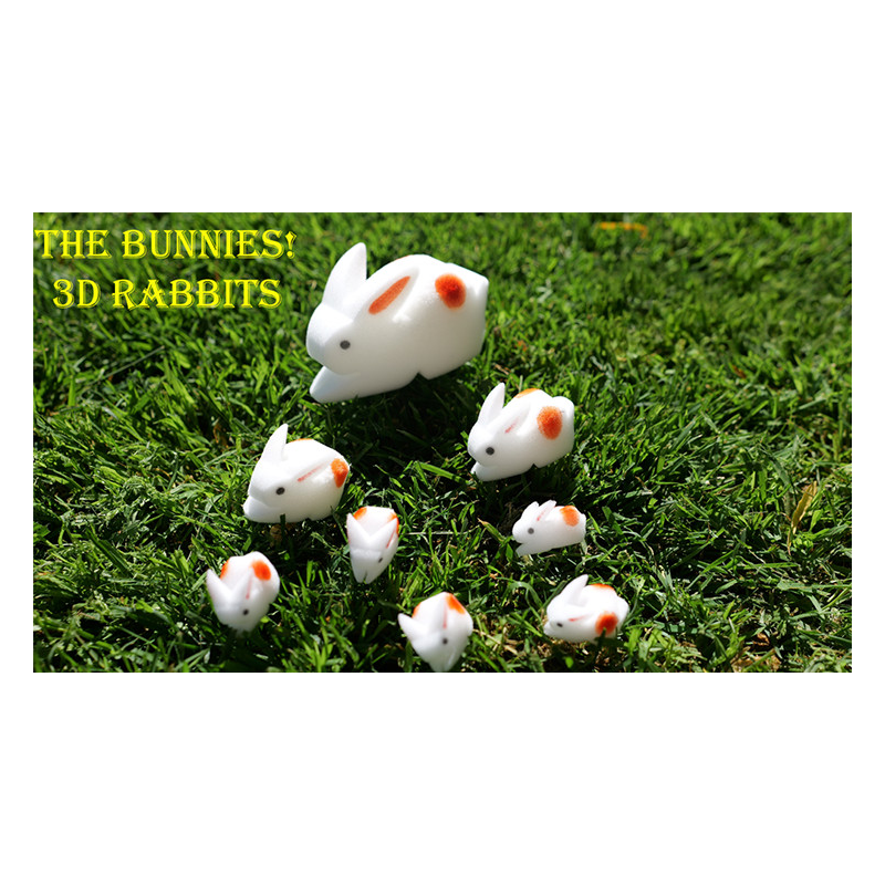 The Bunnies! 3D Rabbits (Parents, Kids and Grandpa)