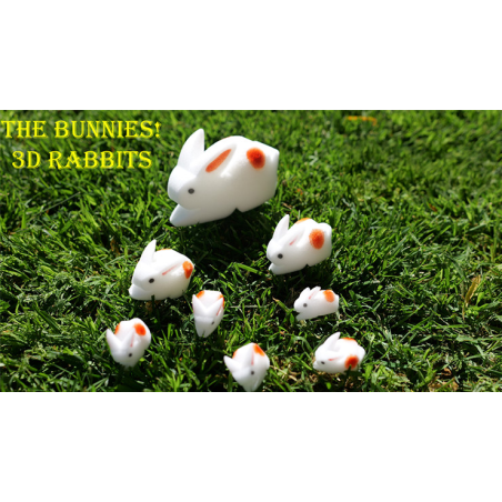 The Bunnies! 3D Rabbits (Parents, Kids and Grandpa)