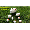 The Bunnies! 3D Rabbits (Parents, Kids and Grandpa)