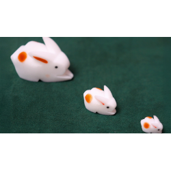 The Bunnies! 3D Rabbits (Parents, Kids and Grandpa)