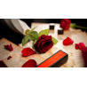 The Butterfly by K.Pen and TCC Magic