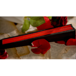 The Butterfly by K.Pen and TCC Magic