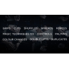 The Foundation by SansMinds - DVD