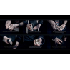 The Foundation by SansMinds - DVD