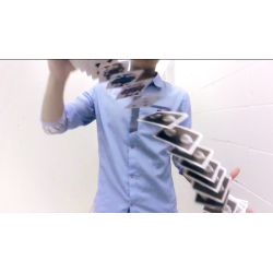 The Foundation by SansMinds - DVD
