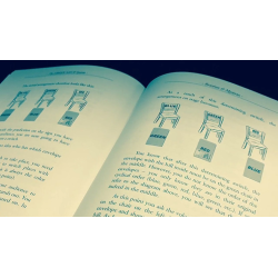 The Green Neck System by Gabriel Werlen and Marchand de trucs and Mindbox - Book