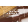 The Peek- In Plain Sight by Casper Ryan