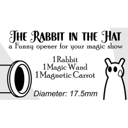 The Rabbit In the Hat by Creativity Lab