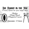 The Rabbit In the Hat by Creativity Lab