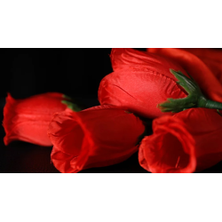 The Rose 2.0 (Red) by Bond Lee and Wenzi Magic - Trick
