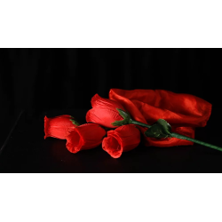 The Rose 2.0 (Red) by Bond Lee and Wenzi Magic - Trick