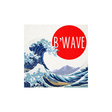 B'Wave DELUXE by Max Maven (Gimmicks and Online Instructions) - Trick