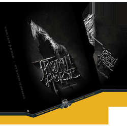 The Trojan Horse (DVD and Gimmicks) by Steven Himmel - DVD
