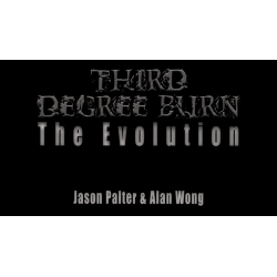 Third Degree Burn The Evolution by Jason Palter and Alan Wong