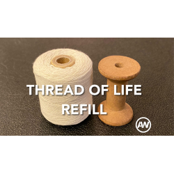 The Thread of Life Refill by Alan Wong