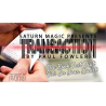 Transaction US (Gimmicks and Online Instructions) by Paul Fowler - Trick