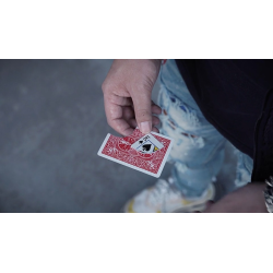 Translation (DVD and Gimmick) by SansMinds Creative Lab - DVD