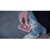 Translation (DVD and Gimmick) by SansMinds Creative Lab - DVD