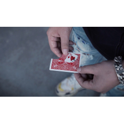 Translation (DVD and Gimmick) by SansMinds Creative Lab - DVD