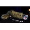 Tricky Raccoon by Liang Kuai and Amor Magic