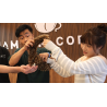Tricky Raccoon by Liang Kuai and Amor Magic