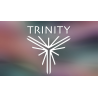Trinity by Mark Lemon