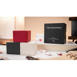 Triple Gozinta Boxes by Ivo David Oliveira and TCC Magic