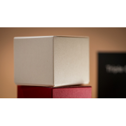 Triple Gozinta Boxes by Ivo David Oliveira and TCC Magic