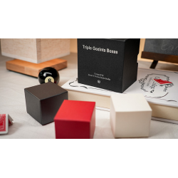 Triple Gozinta Boxes by Ivo David Oliveira and TCC Magic