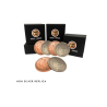 Replica Morgan Hopping Half (Gimmicks and Online Instructions) by Tango Magic - Trick