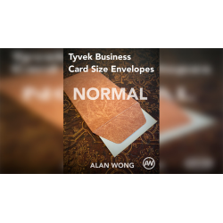 Tyvek Business Card Size Envelopes (10 pk.) by Alan Wong
